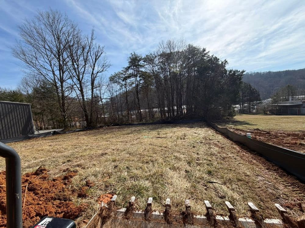 Open grassy lot with trees and buildings in the background under a clear blue sky.